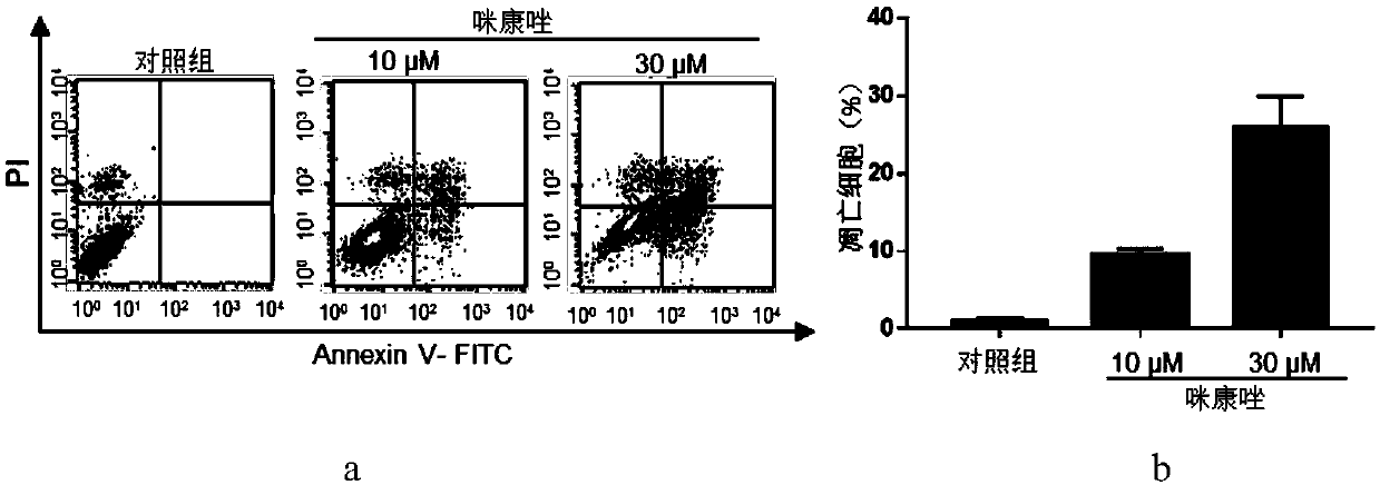 Application of miconazole to preparation of tumor resistant medicines