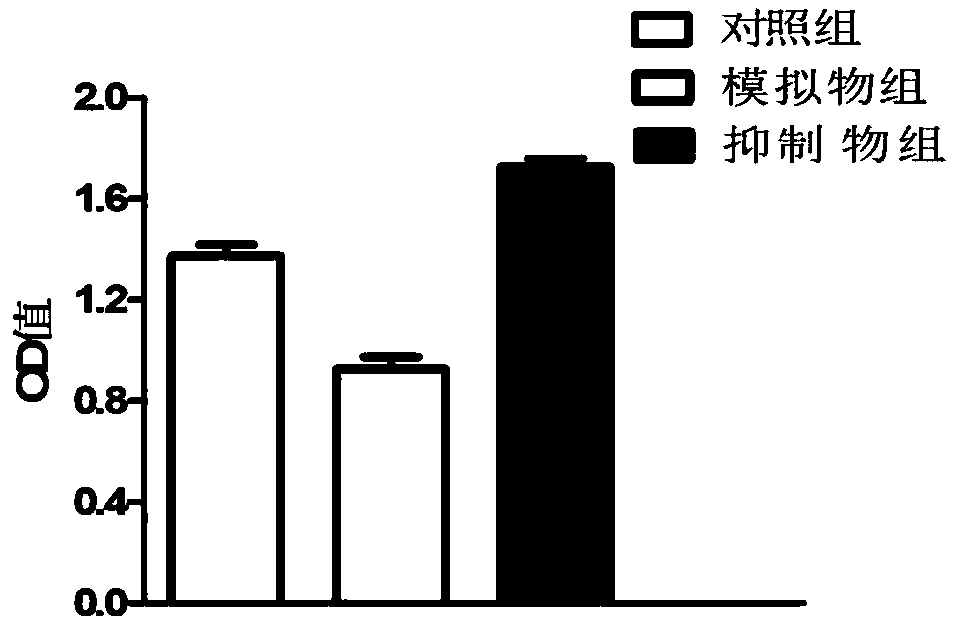 Diagnosis and treatment marker for postmenopausal osteoporosis