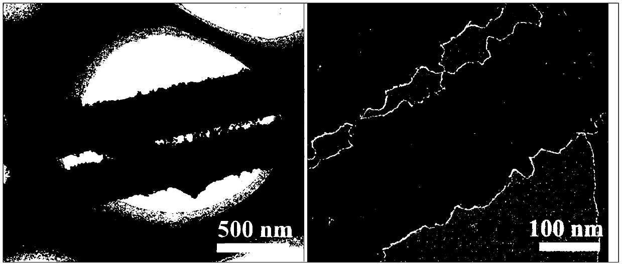 Porous ferrous sulfide nanowires and nitrogen doped carbon composite material and preparation method and application thereof