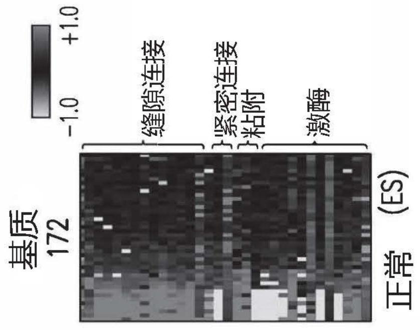 Compositions and methods for treating endometriosis