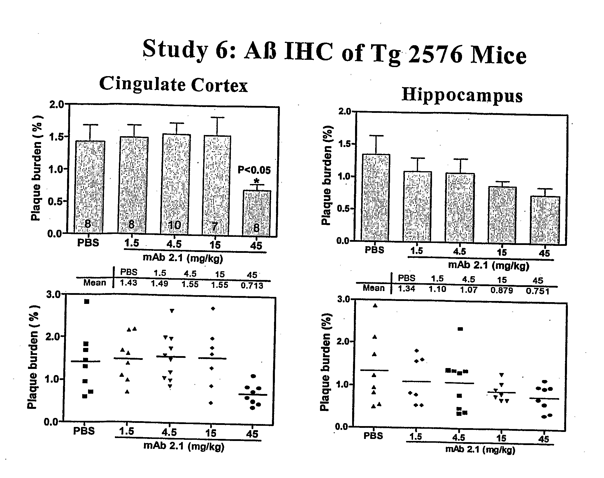 Humanized Anti-Amyloid Antibody