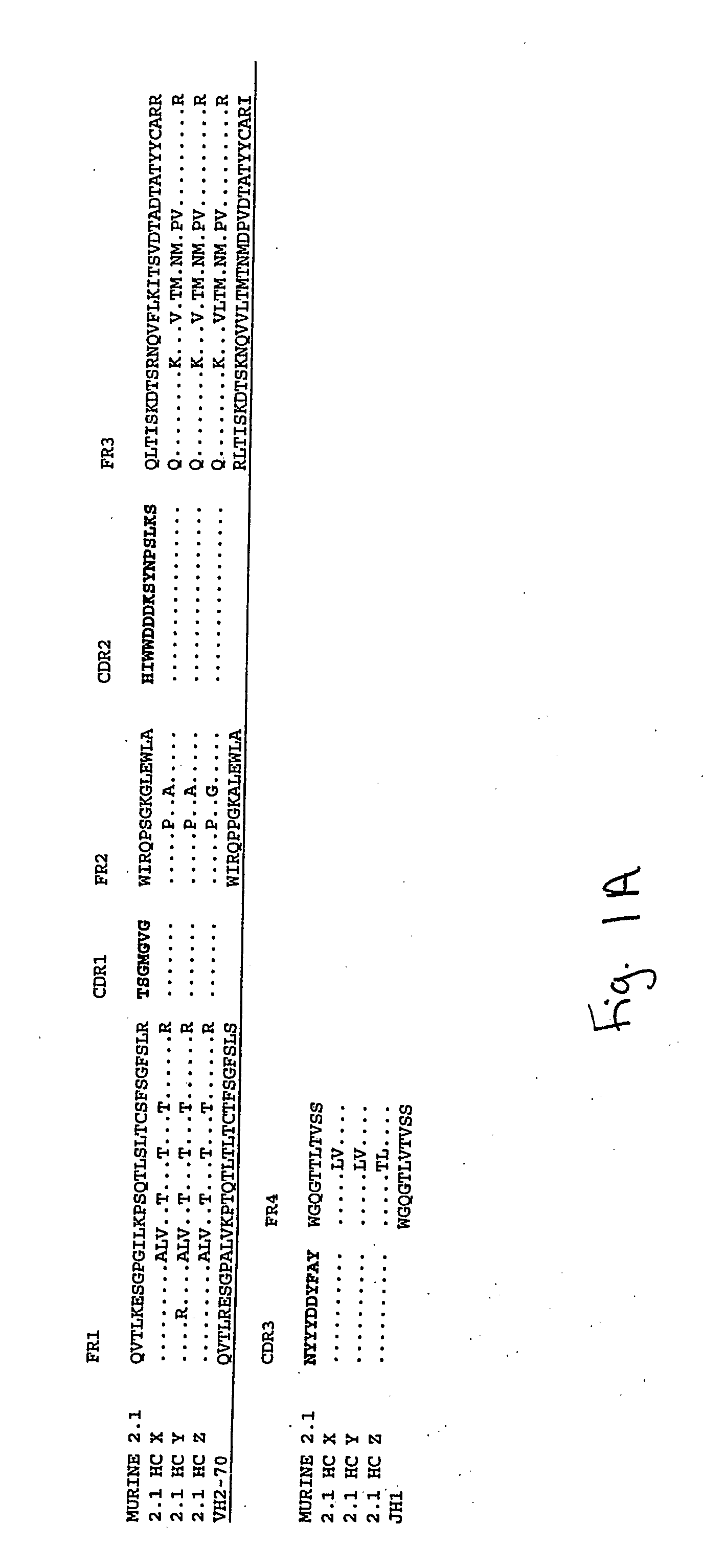 Humanized Anti-Amyloid Antibody