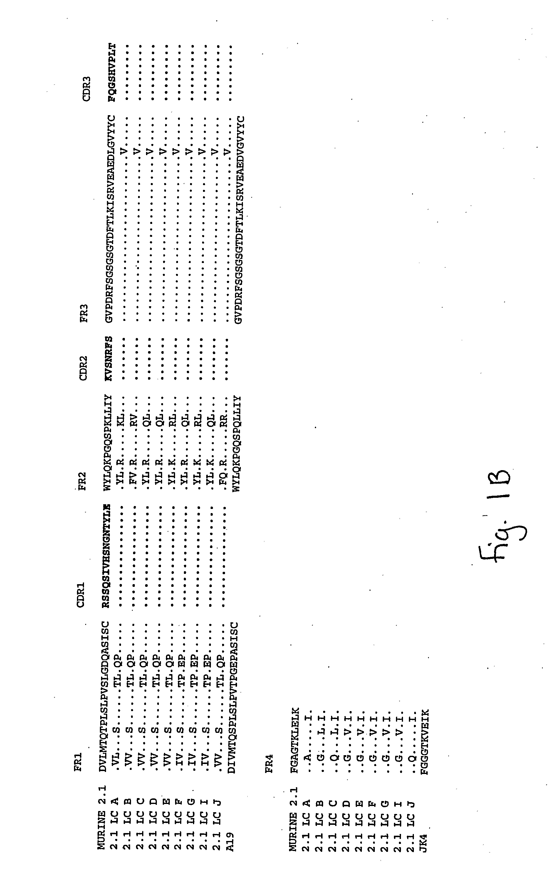 Humanized Anti-Amyloid Antibody