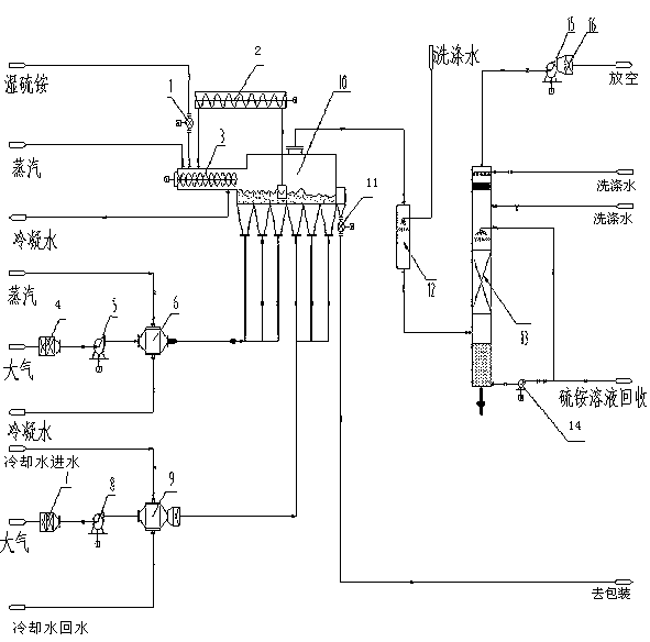 Fluidized bed drying process for ammonium sulfate