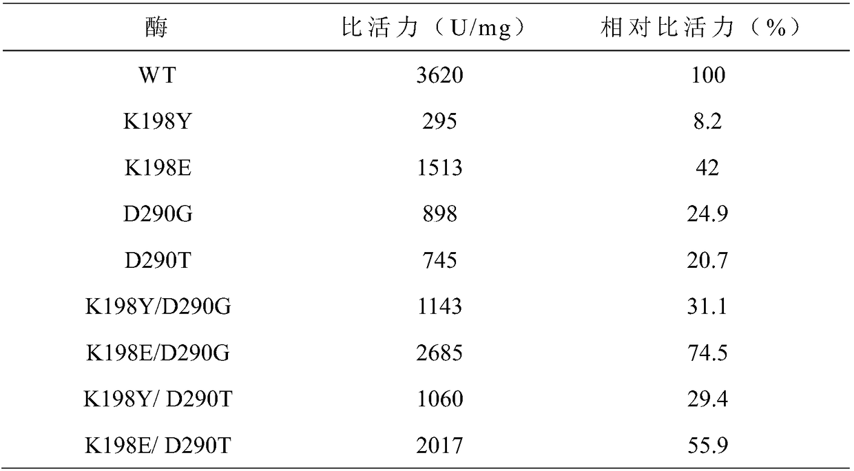 Preparation of maltogenic amylase mutant and application thereof