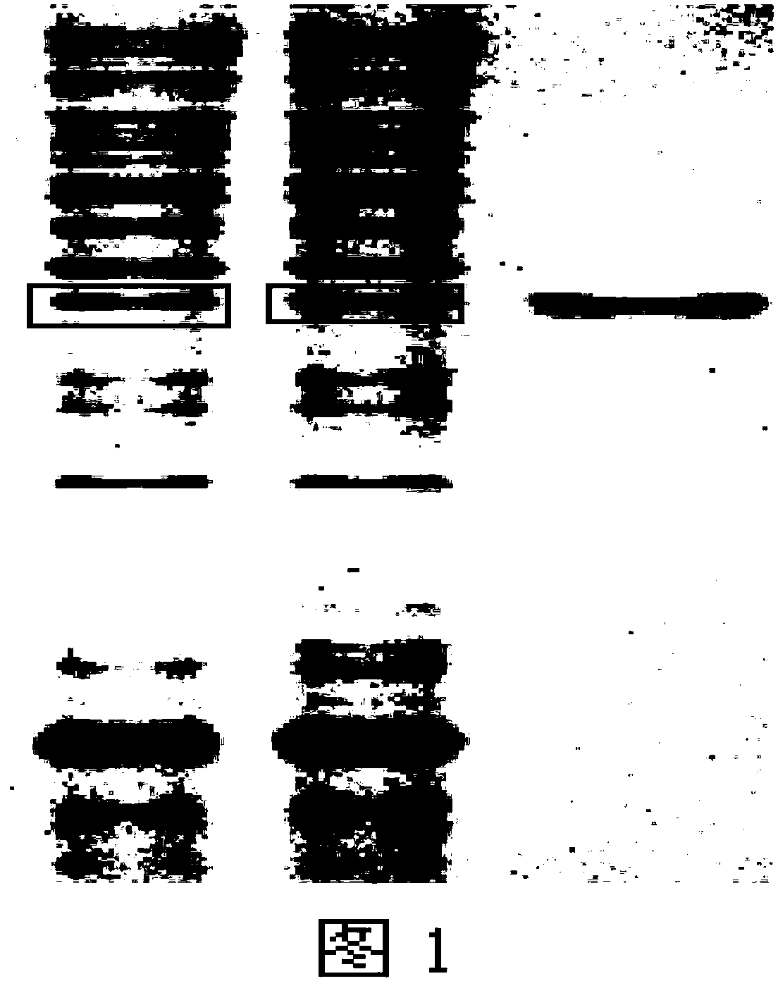 Method for preparing soluble HIV-1 integrase recombinant protein