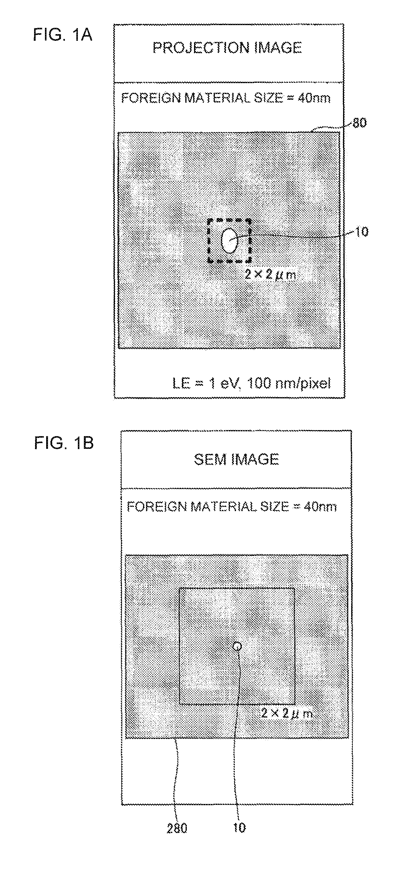 Specimen observation method and device using secondary emission electron and mirror electron detection