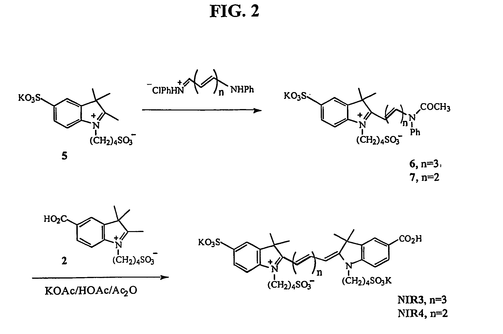 Nir-fluorescent cyanine dyes, their synthesis and biological use