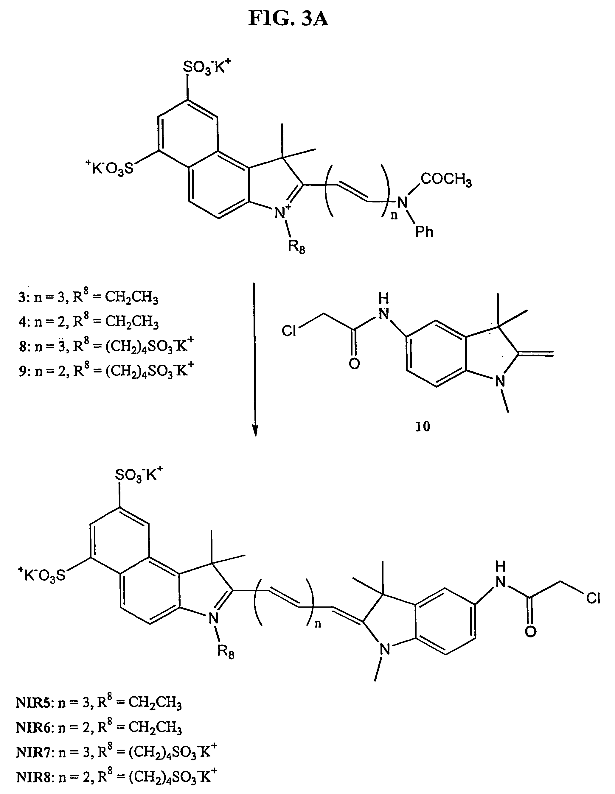 Nir-fluorescent cyanine dyes, their synthesis and biological use