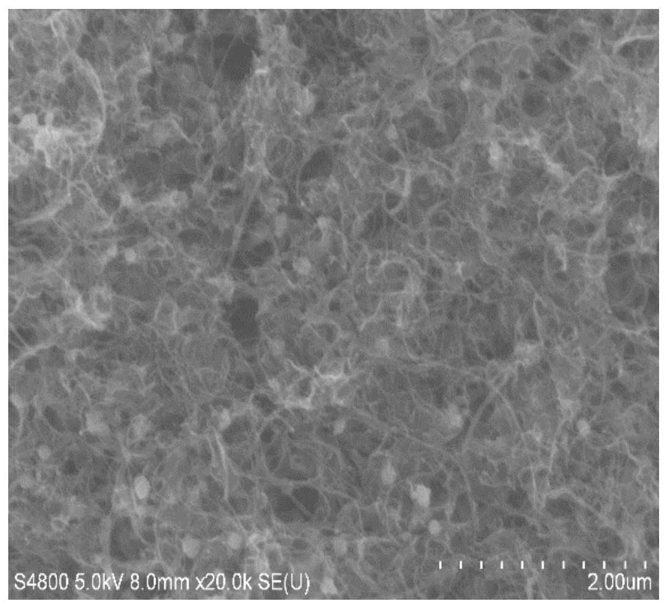 Defect-based compound anchored monatomic composite material as well as preparation method and application thereof