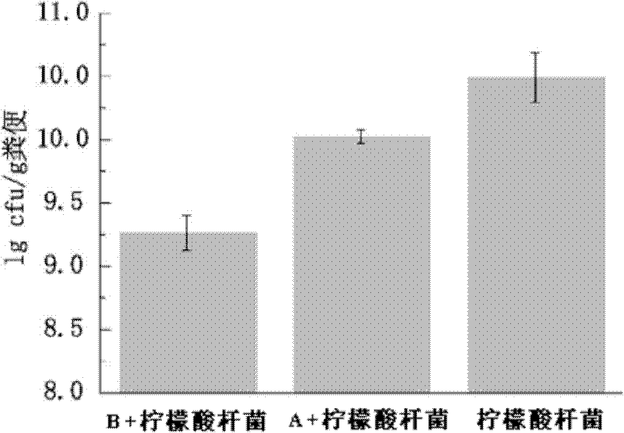 Microecological preparation and preparation method thereof