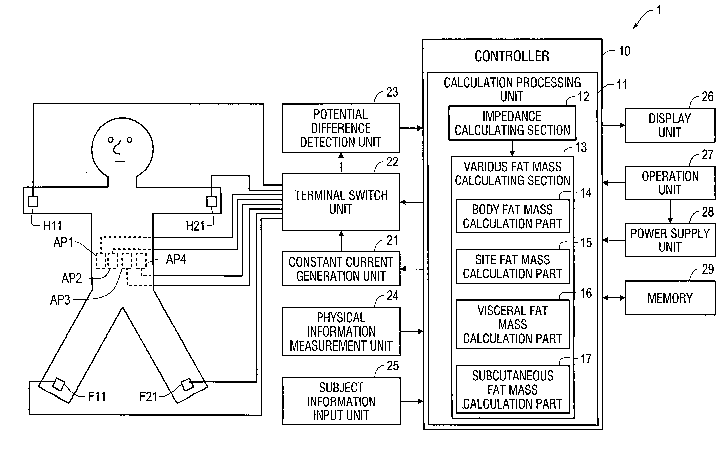 Visceral fat measurement device