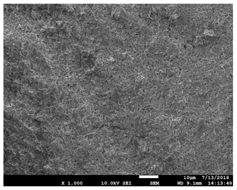 Homogenized alumina ceramic and preparation method thereof