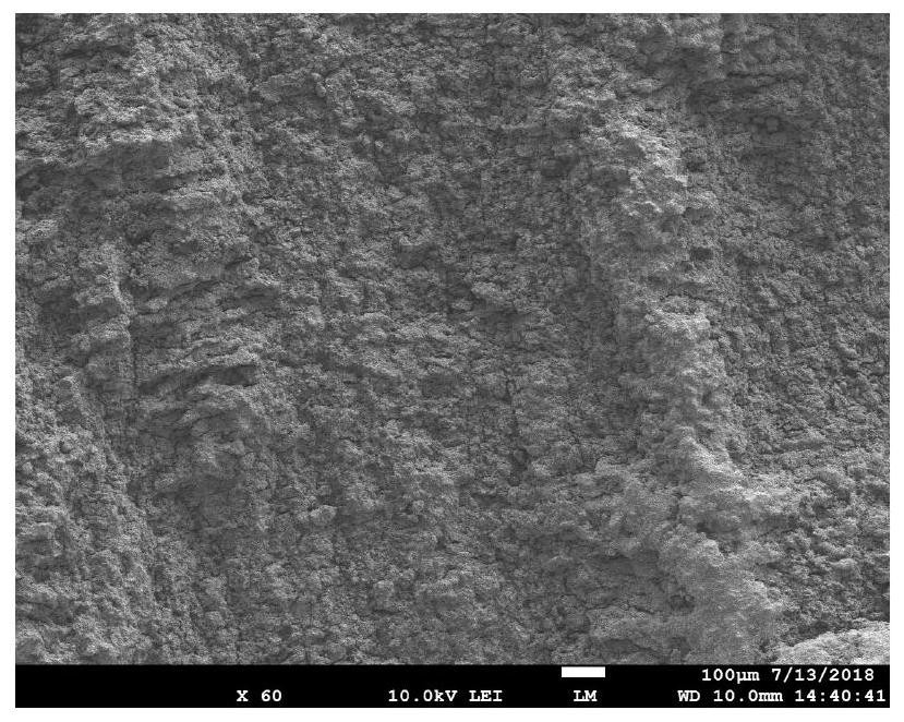 Homogenized alumina ceramic and preparation method thereof