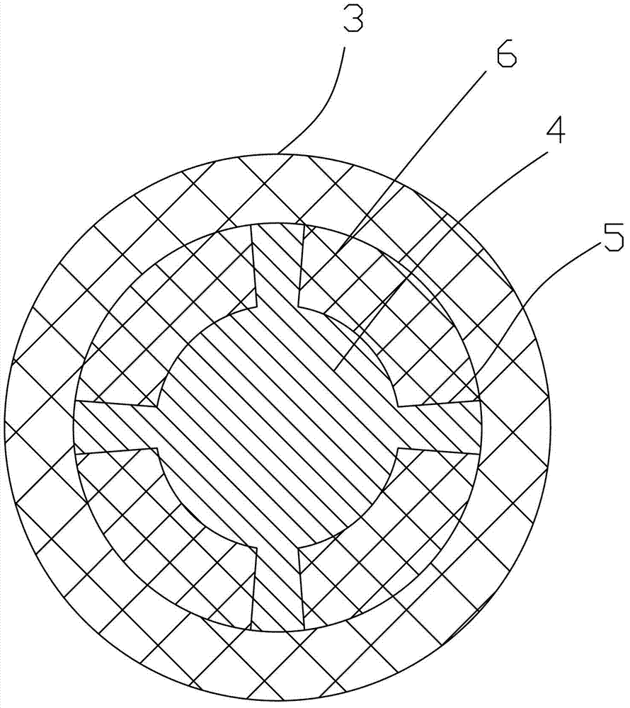 Developing roller used in laser printer