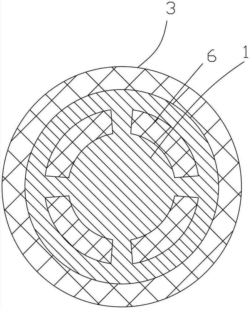 Developing roller used in laser printer