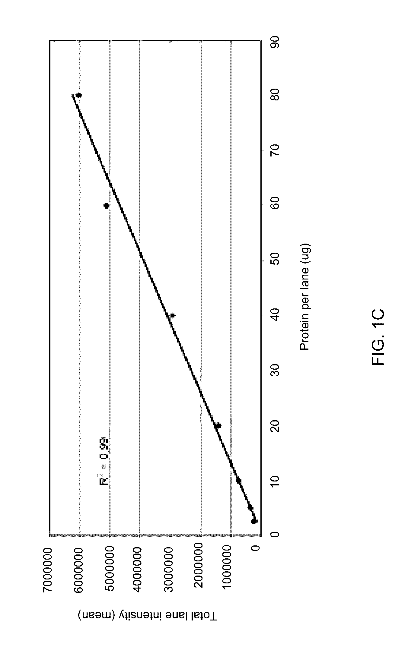 Stain-free protein quantification and normalization