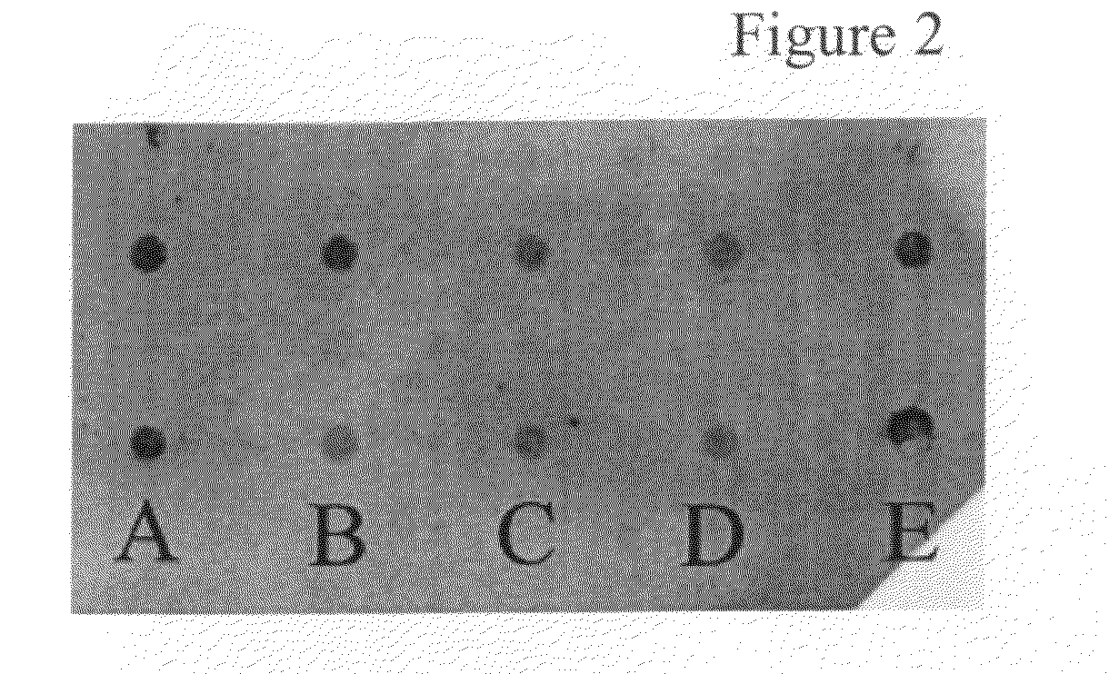 Synthetic LDL as Targeted Drug Delivery Vehicle