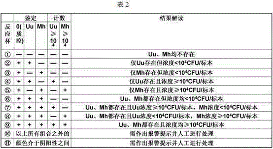 Automatic detection method for mycoplasma culture, identification, counting and drug sensitivity results