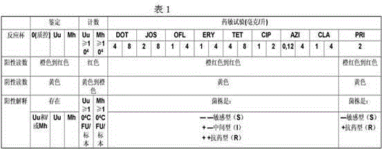 Automatic detection method for mycoplasma culture, identification, counting and drug sensitivity results