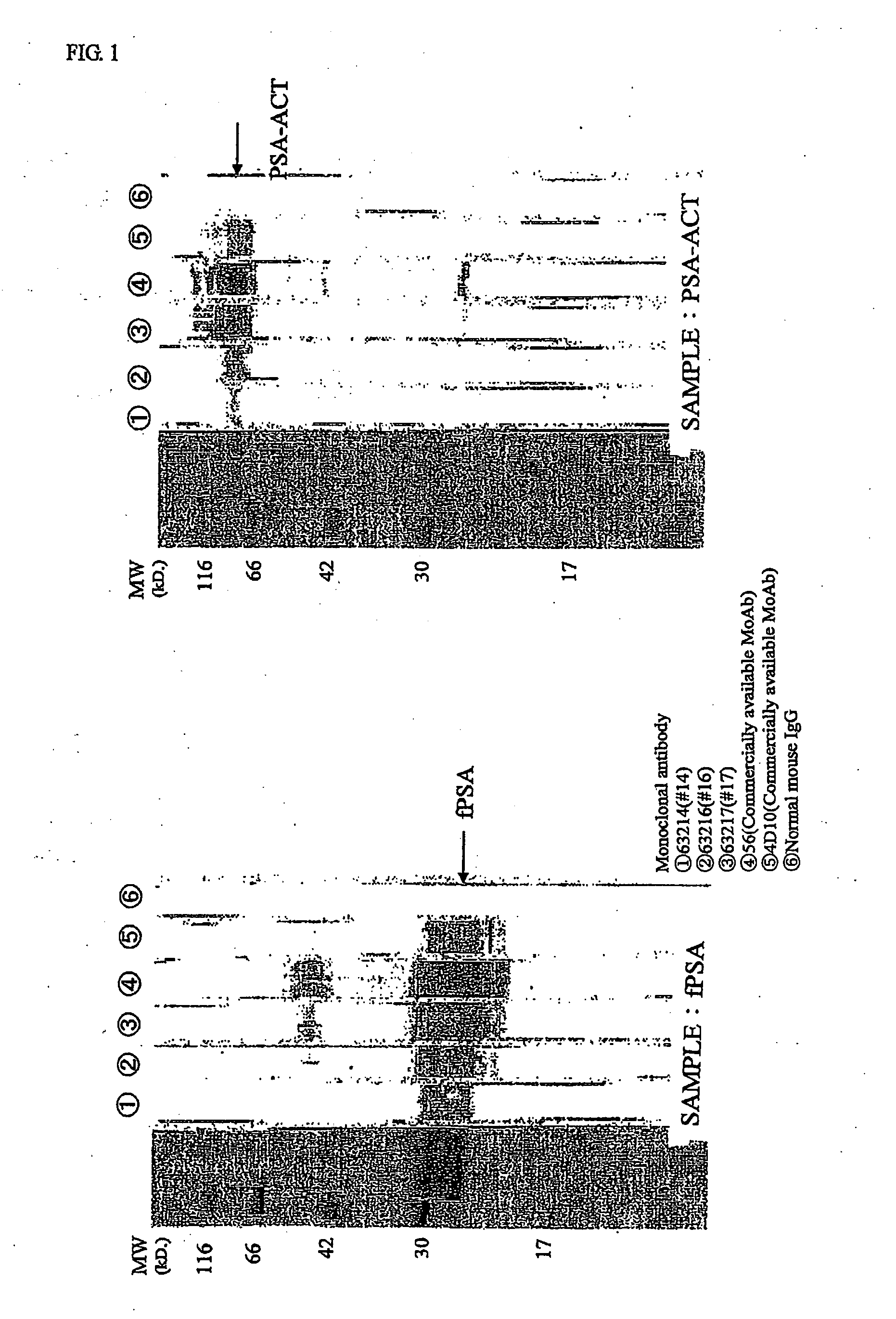 Reagent for Assaying Antigen and Method of Assaying Antigen