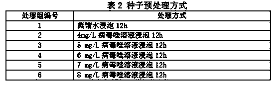 Method for producing virus-free atractylodes macrocephala koidz seedlings