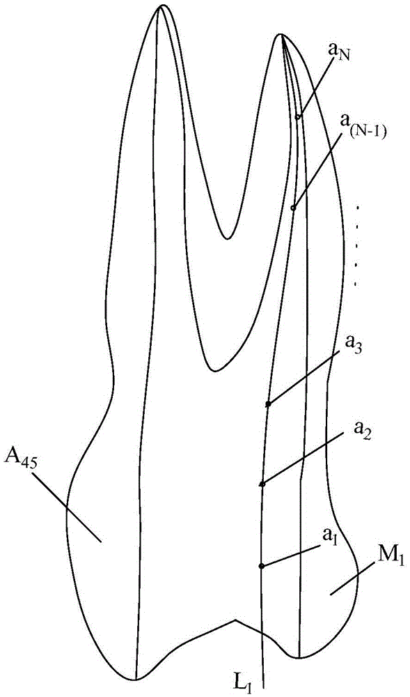 Method and device for detecting root canal preparation effect in stomatology teaching