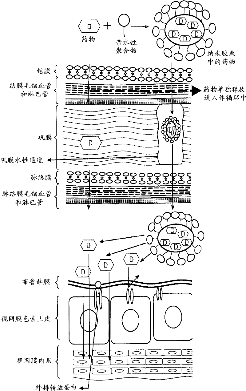 Topical drug delivery systems for ophthalmic use