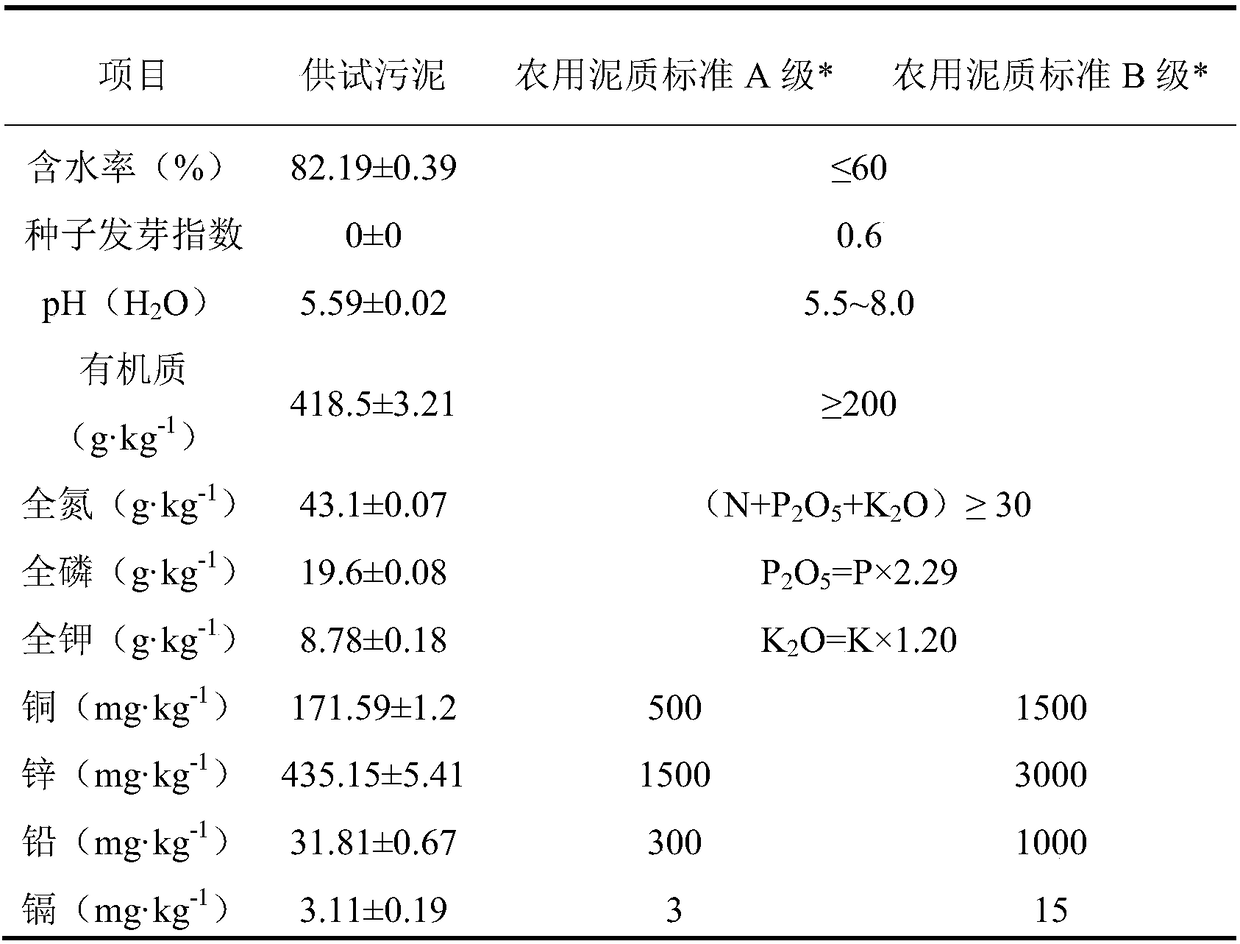 Method for rapidly propagating and growing pennisetum hydridum on municipal sludge