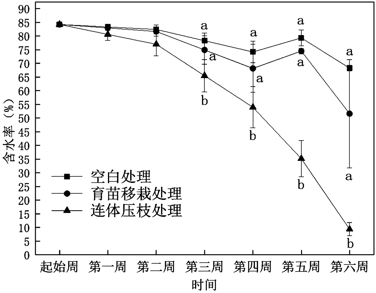 Method for rapidly propagating and growing pennisetum hydridum on municipal sludge