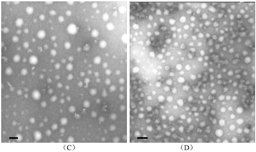 Human calcitonin-cucurbituril compound preparation and preparation method thereof