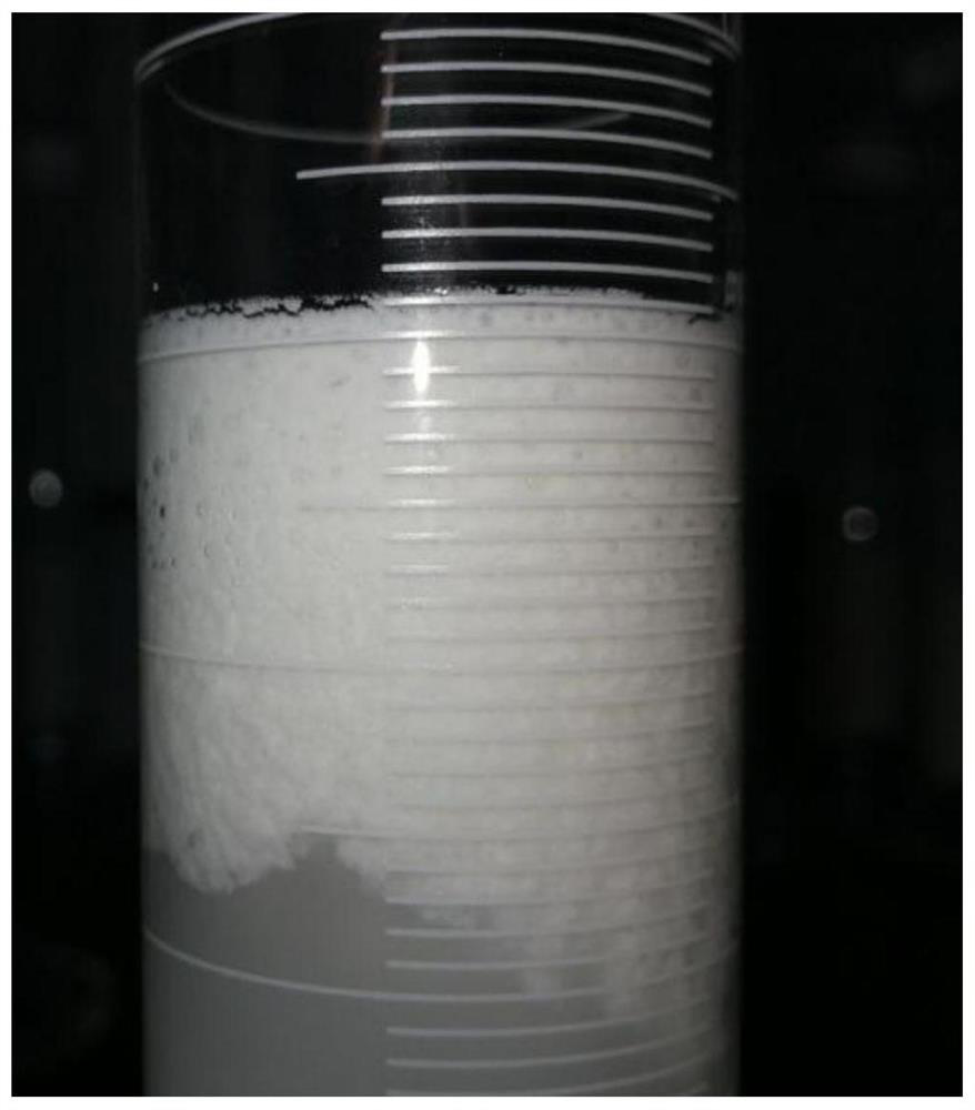 Oral megestrol acetate suspension and preparation method thereof