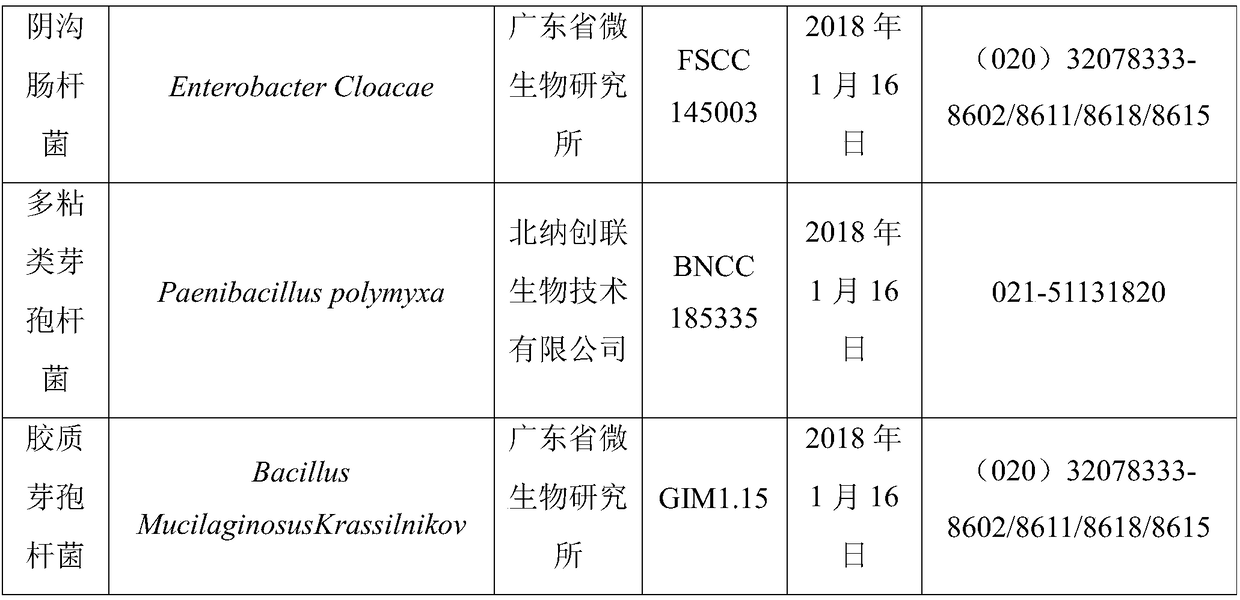 Biological bacterial fertilizer and application for strengthening phytoremediation of cadmium-contaminated soil