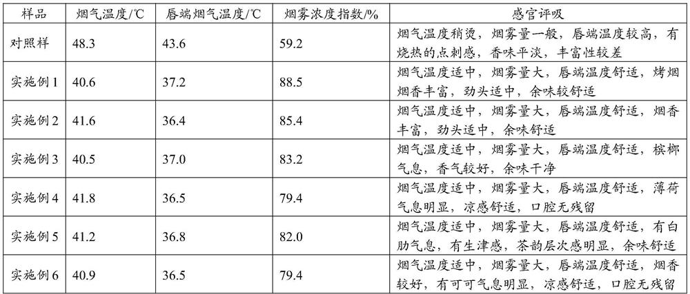 Sheet type binary structure heat-not-burn product