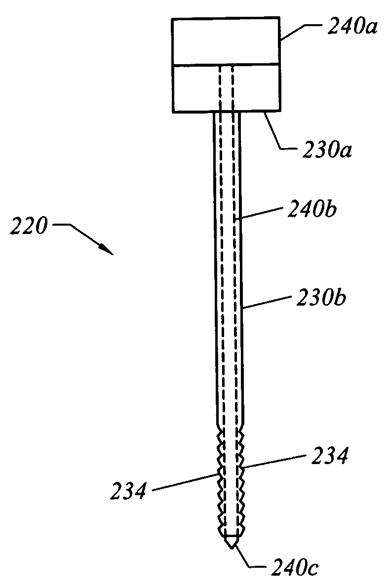 Cannula having asymmetrically-shaped threads