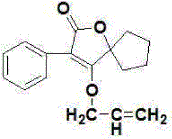 Volution lactone compound and synthesis method and application thereof