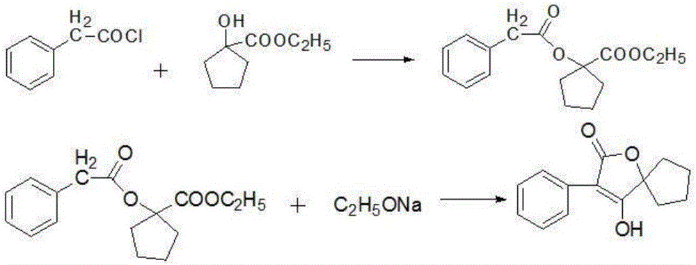 Volution lactone compound and synthesis method and application thereof