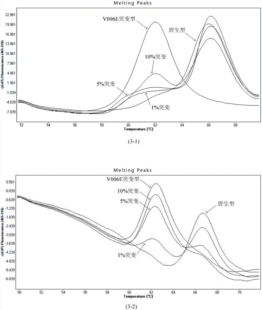 Method for detecting BRAF (block repeat active flag) gene mutation accurately based on probe fusion technology