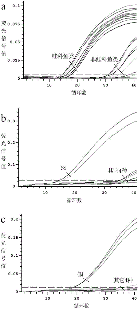 Dual fluorescent quantitative PCR method for species identification of salmons and highly processed products of salmons