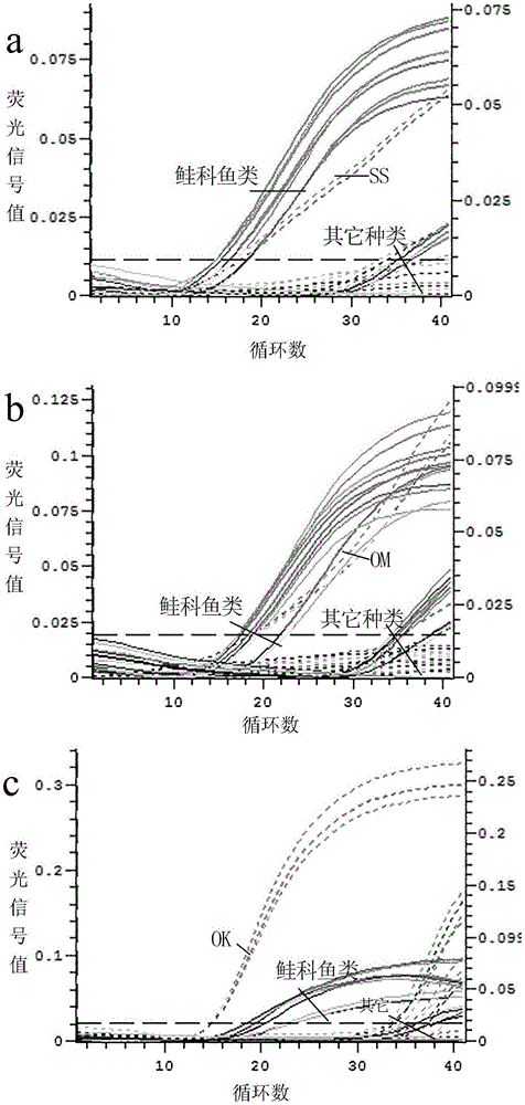 Dual fluorescent quantitative PCR method for species identification of salmons and highly processed products of salmons