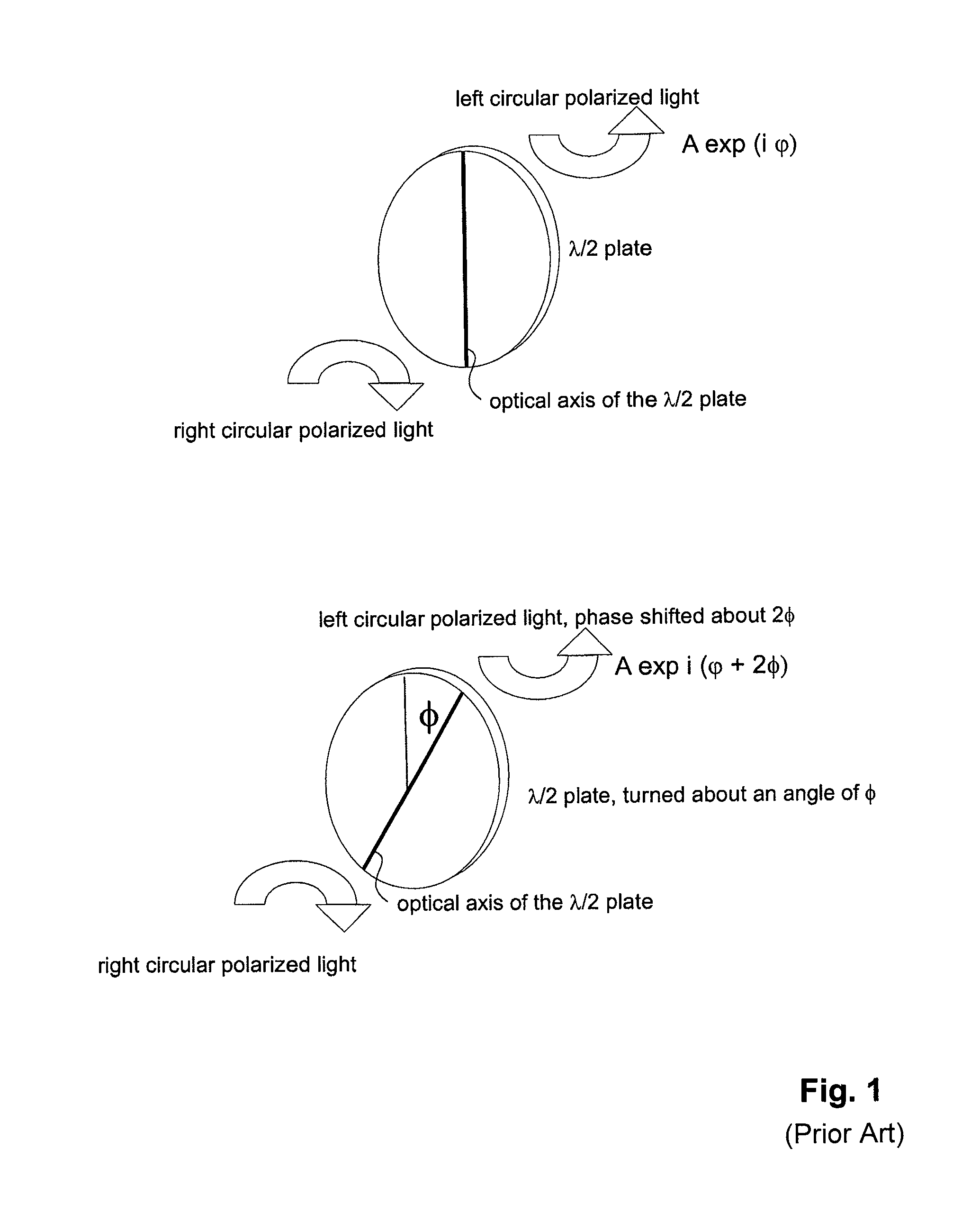 Phase modulator for modulating light interacting with the phase modulator