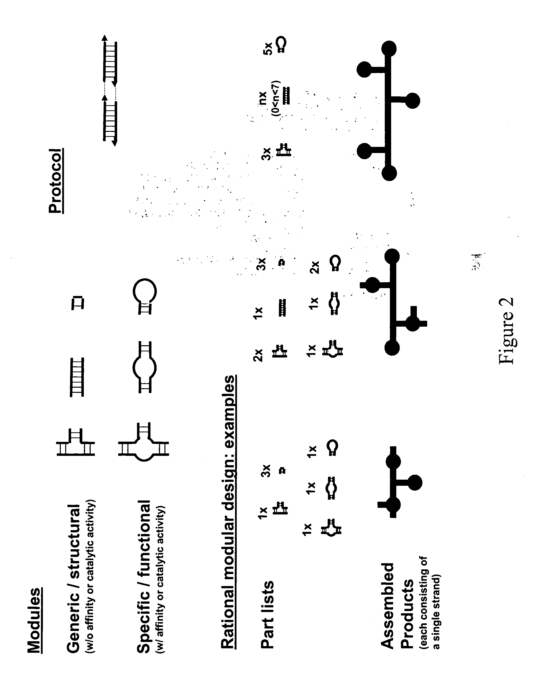 Modular design and construction of nucleic acid molecules, aptamer-derived nucleic acid constructs, RNA scaffolds, their expression, and methods of use