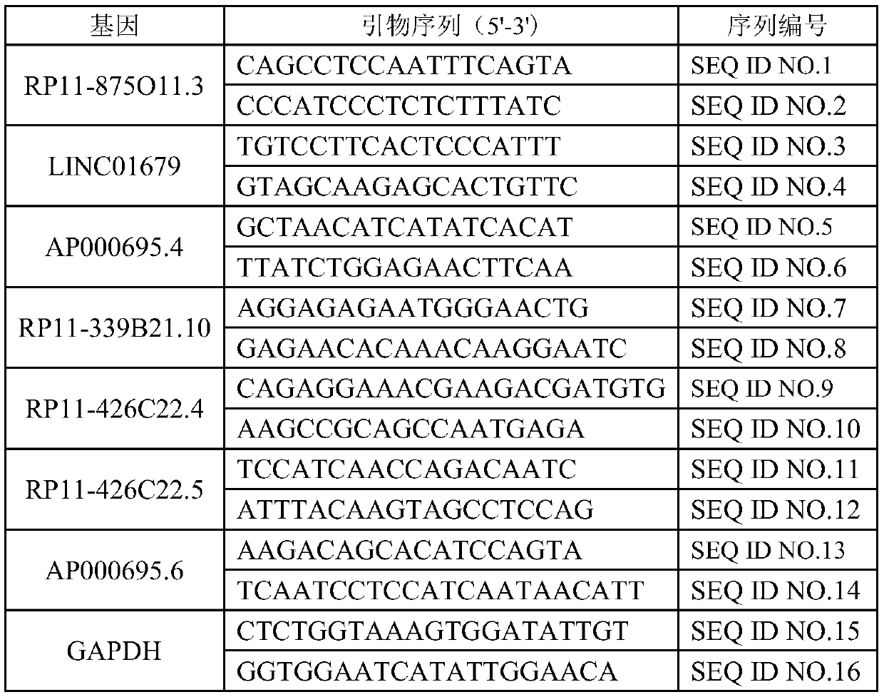 Related biomarker for diagnosing and treating oral squamous cell carcinoma and application thereof