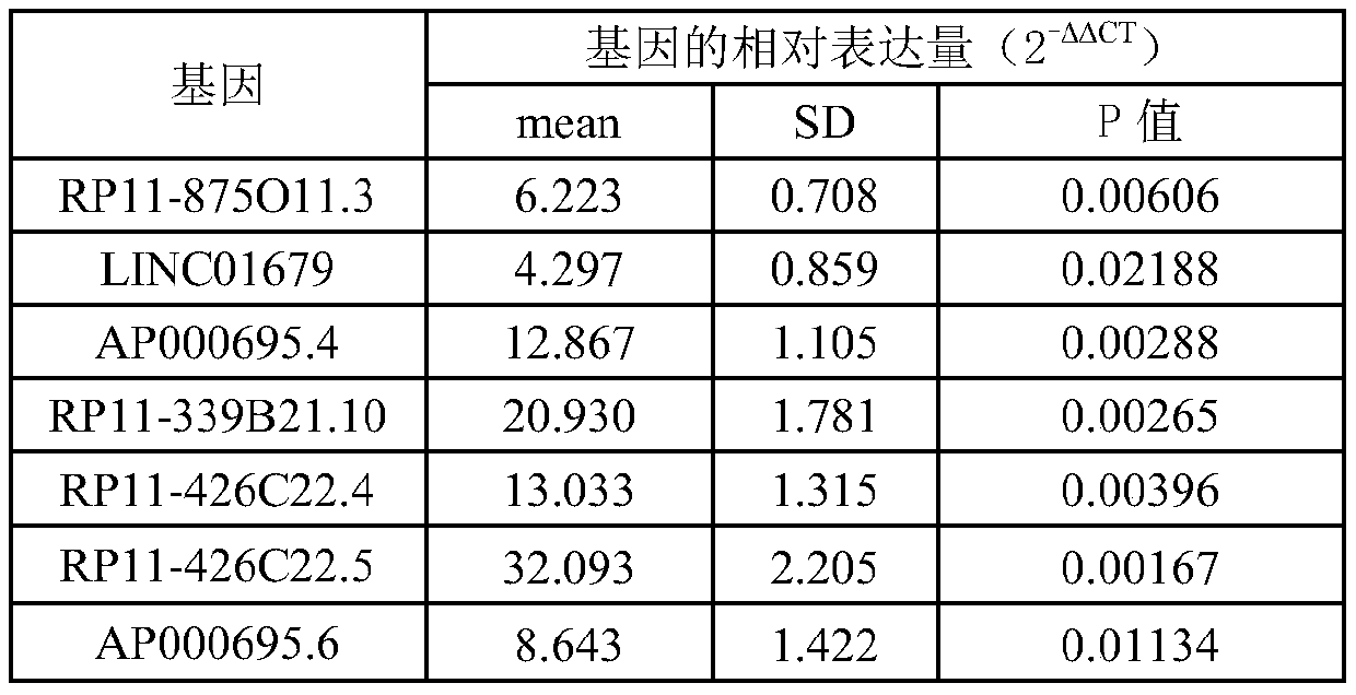 Related biomarker for diagnosing and treating oral squamous cell carcinoma and application thereof