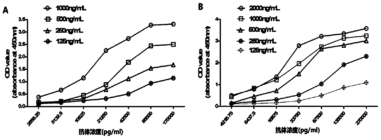 Hybrid tumor cell strain 7D2 of human cardiac troponin I as well as monoclonal antibody and application thereof