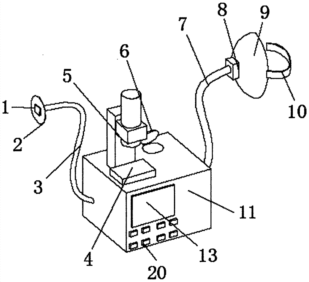 Multifunctional respiratory disease examination device