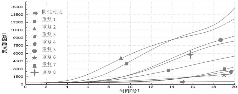 A kind of raa primer probe and detection method for detecting nodular dermatosis virus