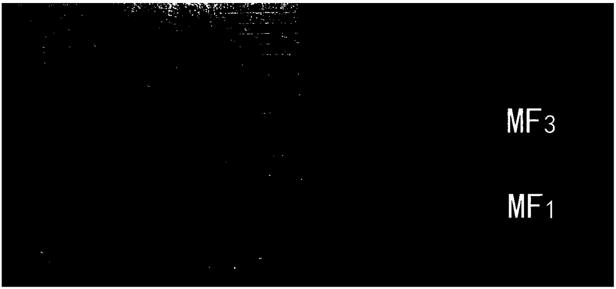 Devitrified alpha cordierite microcrystal glass prepared from Bayan Obo tailings and coal ash and preparation method thereof