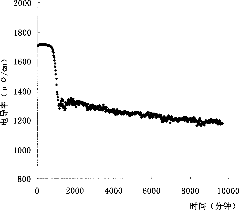 Conductivity on-line monitoring method in beer fermentation process