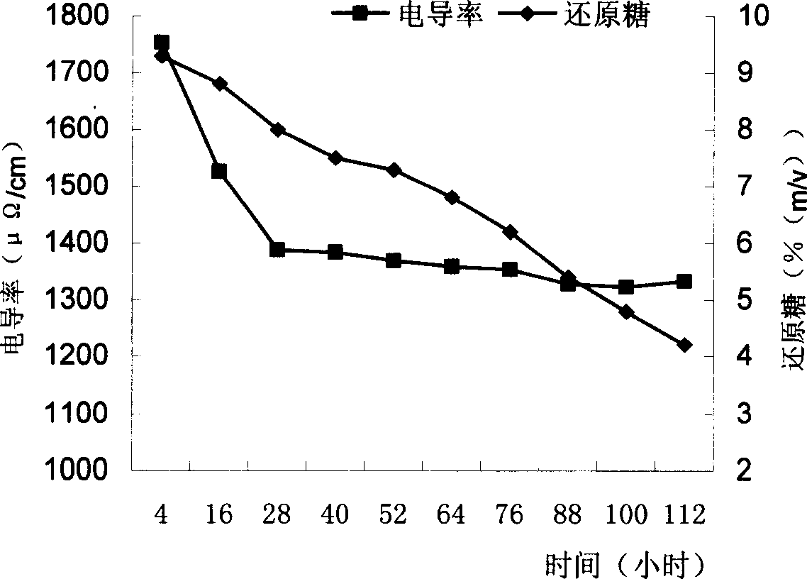 Conductivity on-line monitoring method in beer fermentation process